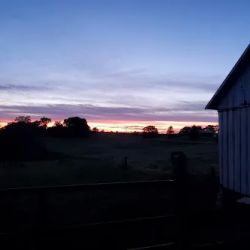 Truesdell Farm Parts ico