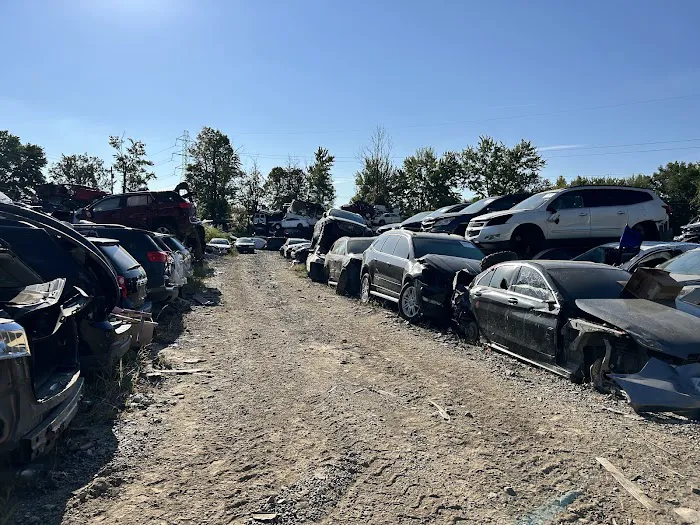 D+S Auto Salvage 2