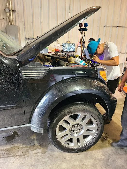 LOS MEXICANICOS 2