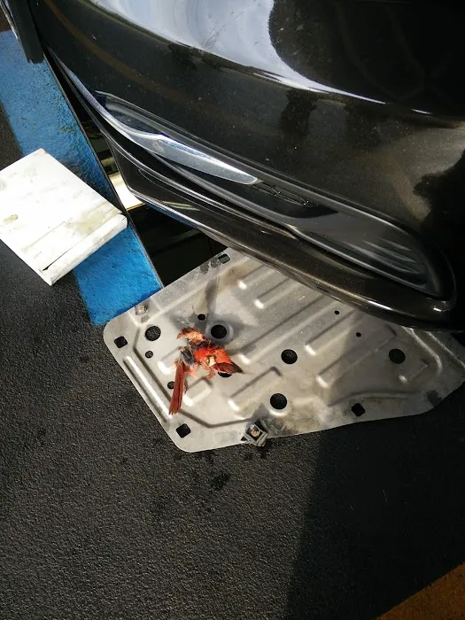 Valvoline Instant Oil Change 6
