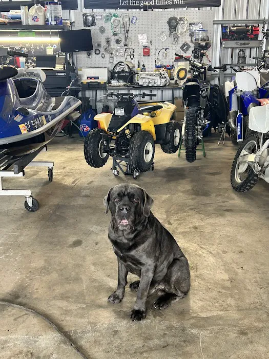 TN Auto Repair 1