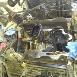 O'Reilly Auto Parts ico