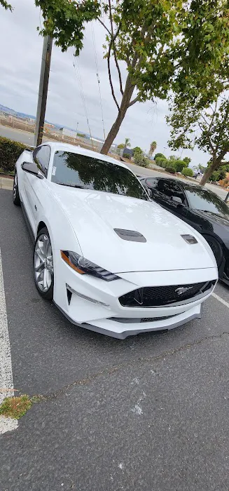Hayward Jet Black Tint & Glass 0