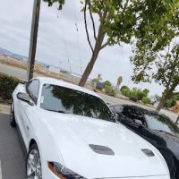 Hayward Jet Black Tint & Glass