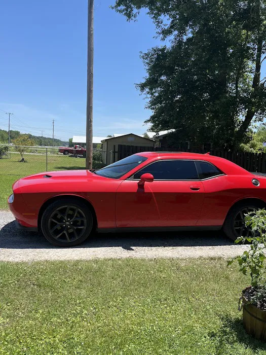 Dynamic Tint 1