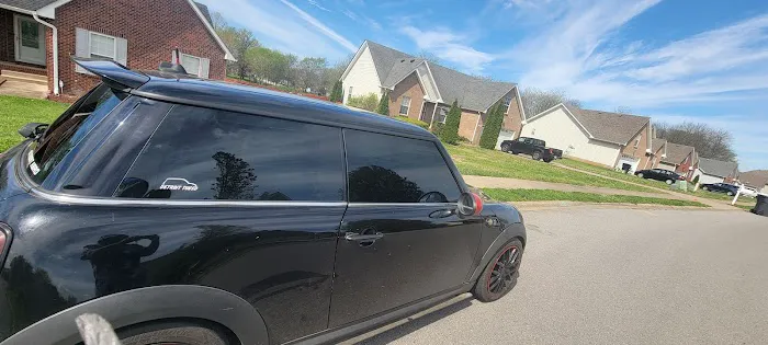 Dynamic Tint 4