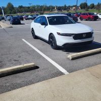 Marsh Window Tinting