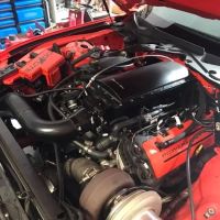 615 Dyno And Performance