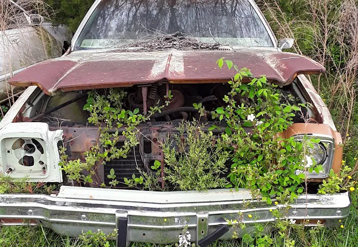 L & L Auto Salvage 6