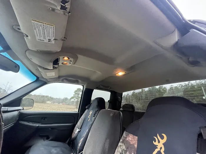 Will's Mobile Auto Headliners 7