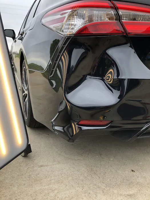 Carolina Dent Expert 7