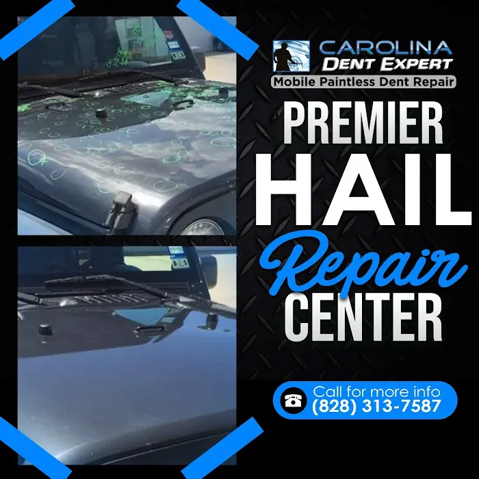Carolina Dent Expert 3