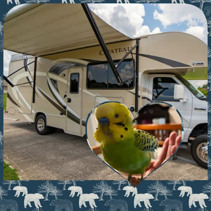 Bella RV mobile tech 2