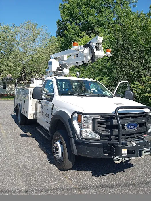 SafeLite AutoGlass 1