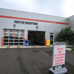 Peruzzi Toyota Parts ico