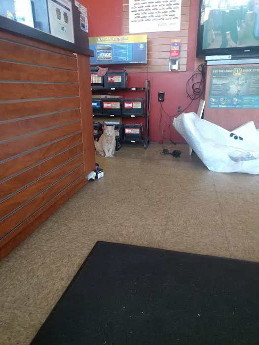 Starbrite Auto Repair 0