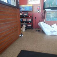 Starbrite Auto Repair