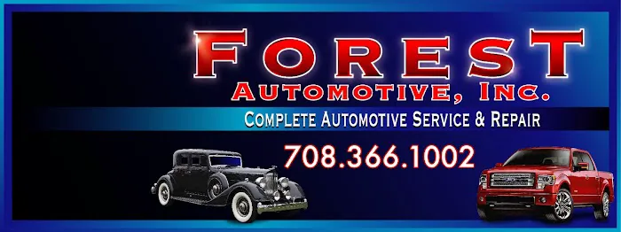 Forest Automotive 5