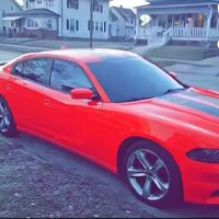 Custom Auto Tint