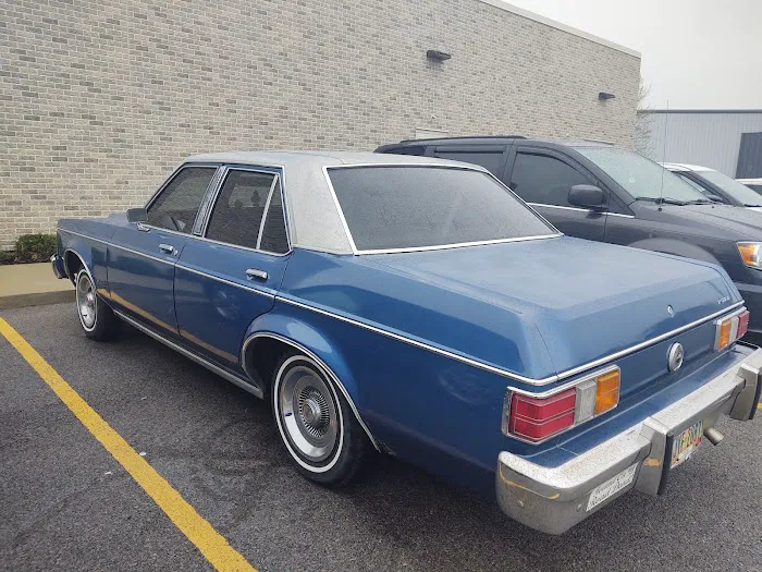 Custom Auto Tint 5