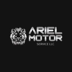 Ariel Motor Service LLC ico