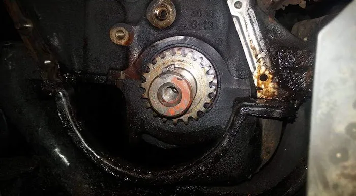 McCann AutoCare 6