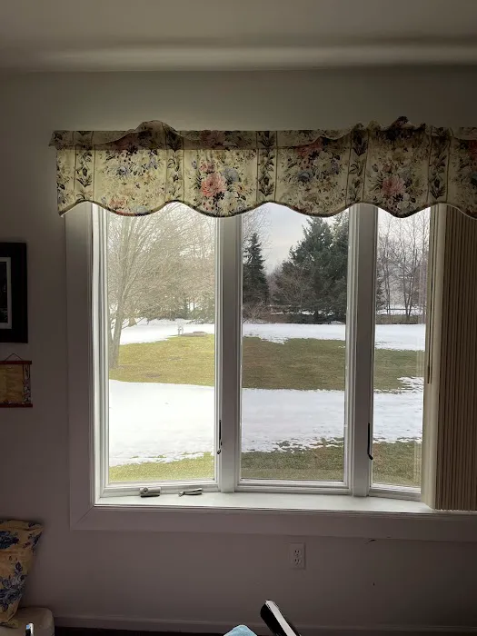 Michigan Tint Solutions 2