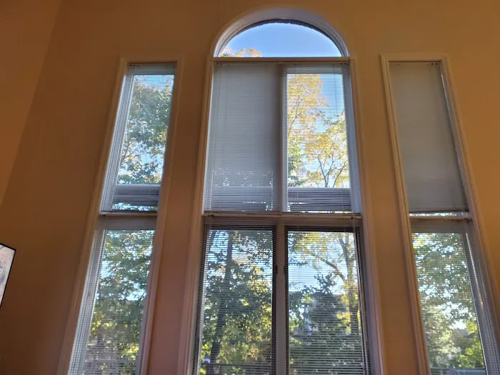 Michigan Tint Solutions 4
