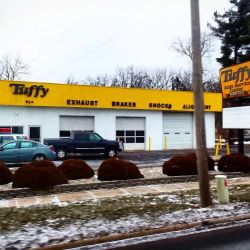 Tuffy Tire & Auto Service Center ico