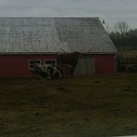 L & S Service Inc.