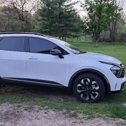 Bee Xtreme Window Tinting ico