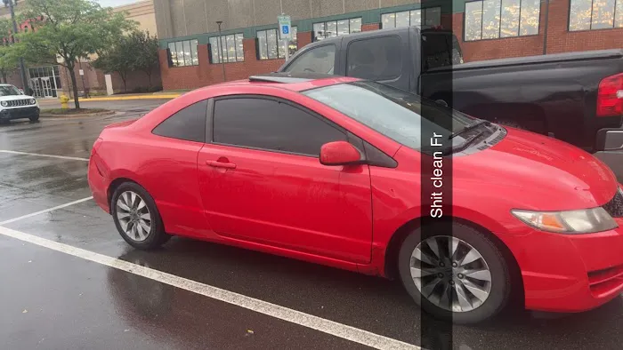 Bee Xtreme Window Tinting 3
