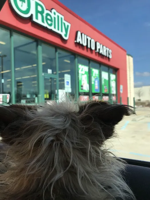 O'Reilly Auto Parts 0