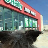 O'Reilly Auto Parts