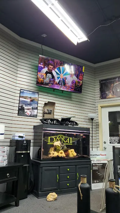 Dami Audio & Diagnostics 7