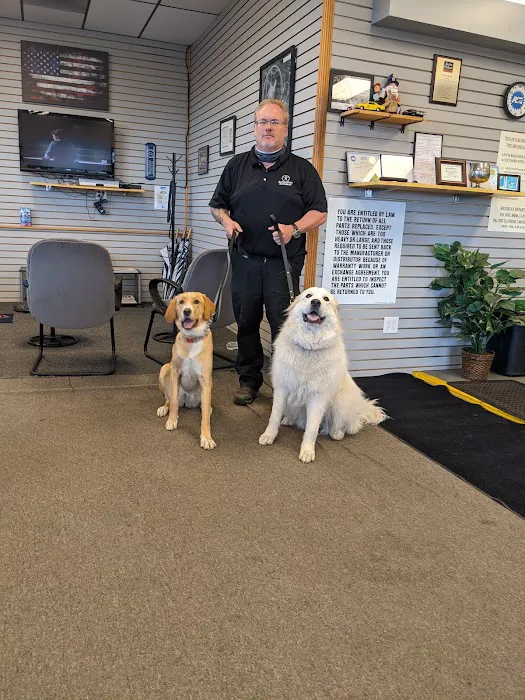 Automotive Authority 7