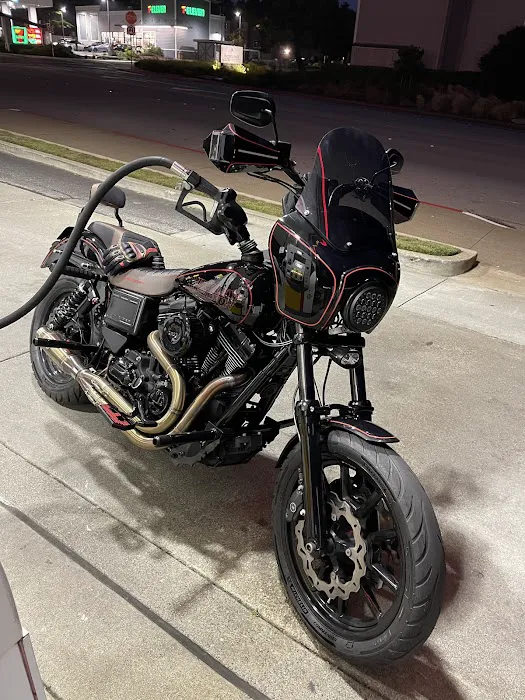 TMF Cycles 4