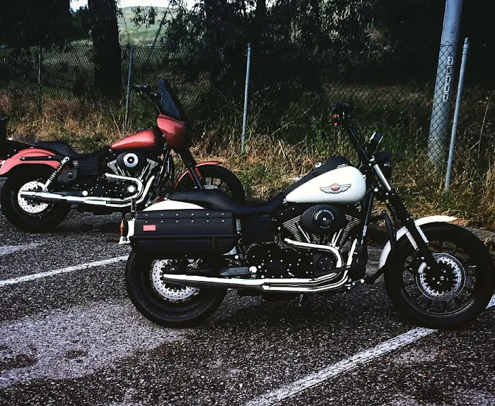 TMF Cycles 2