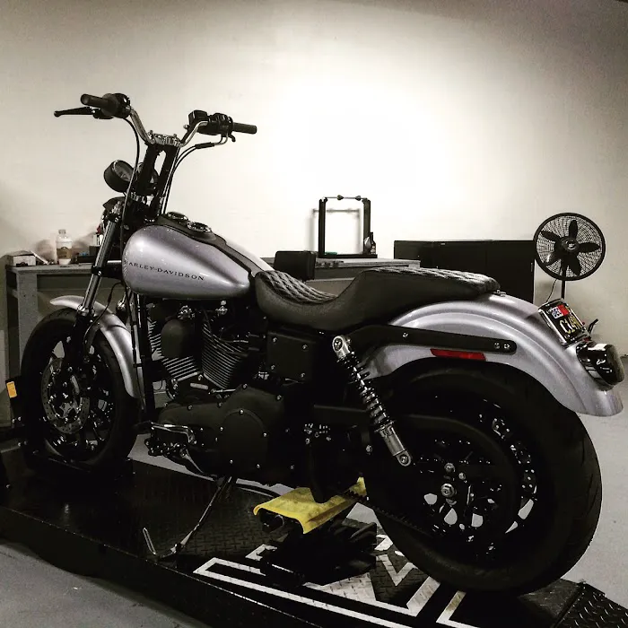 TMF Cycles 3