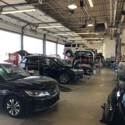 Buerkle Body Shop ico