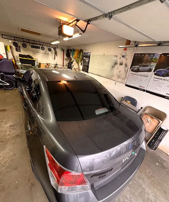 Lux auto tint 9