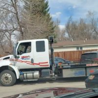 Import Specialists of Fort Collins
