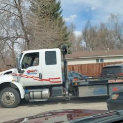 Import Specialists of Fort Collins ico