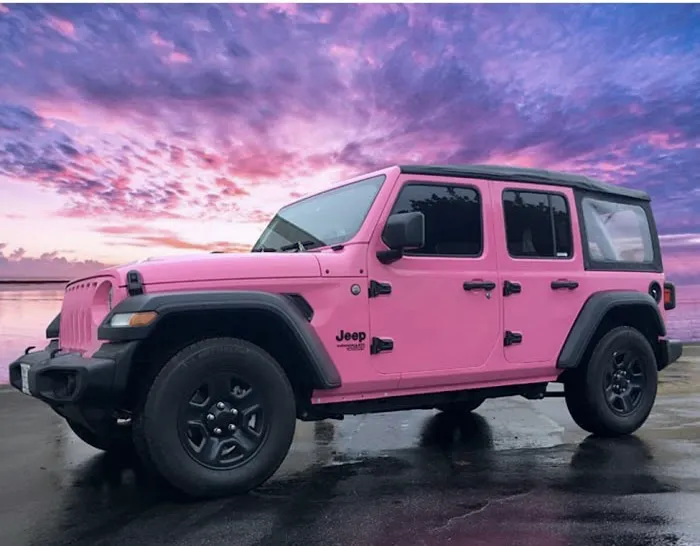 Long Island Tints & Lifts 0