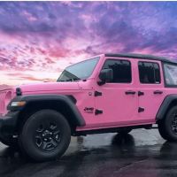 Long Island Tints & Lifts