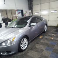 Henry Window Tints