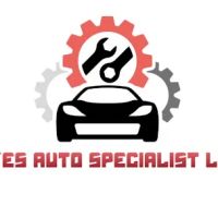 Reyes auto specialist llc