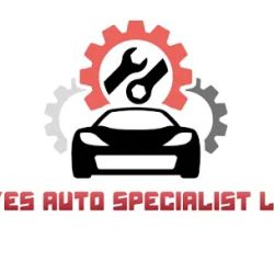 Reyes auto specialist llc ico