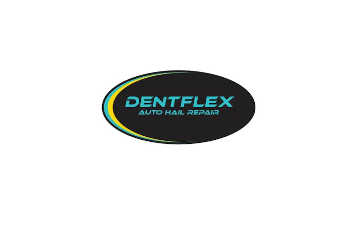DentFlex Paintless Dent Repair 0