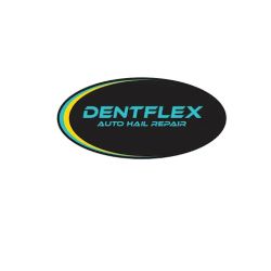 DentFlex Paintless Dent Repair ico